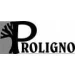 Logo-PROLINGO